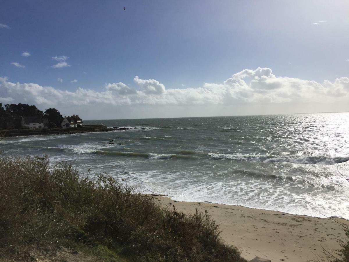 20B - Kermarquer - Studio 1 48M² La Trinité-sur-Mer Eksteriør bilde